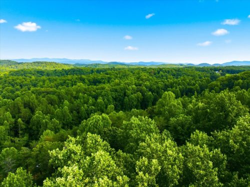 22-Scenic-View-Rd-Madisonville-TN-22