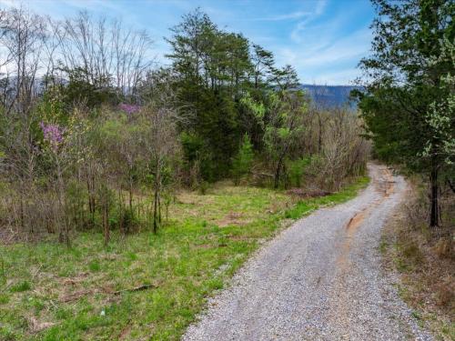 24-595-State-Hwy-310-Etowah-TN-24