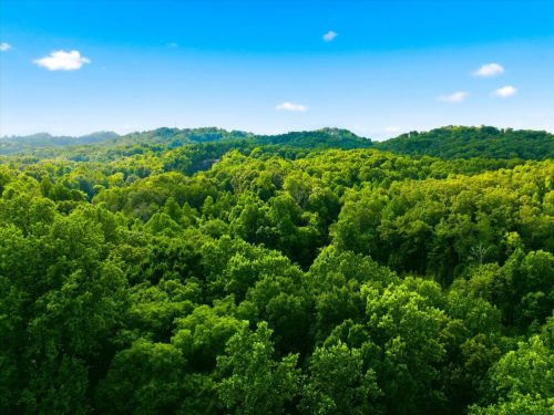 24-Scenic-View-Rd-Madisonville-TN-24