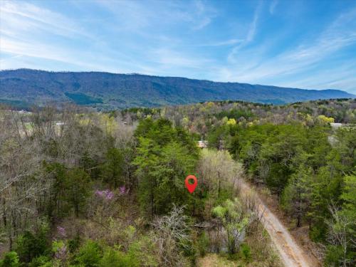 25-595-State-Hwy-310-Etowah-TN-25