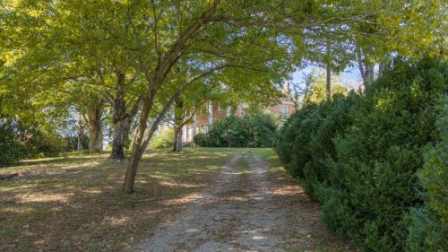 Athens-House-39