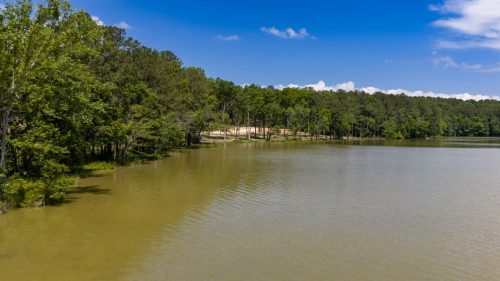 Bomar-Rec-Lots-12 (1)