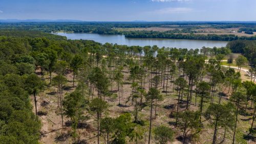 Bomar-Rec-Lots-18 (1)