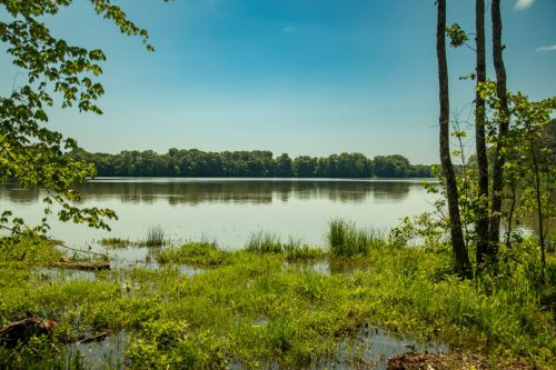 Bomar-Rec-Lots-37 (1)