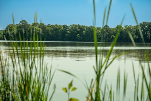 Bomar-Rec-Lots-41