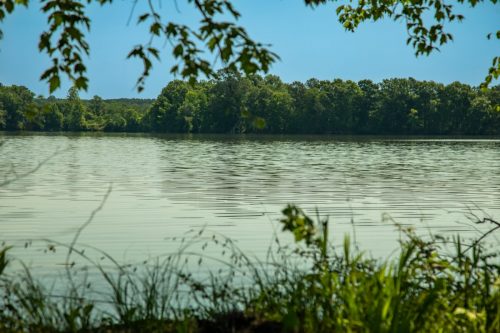 Bomar-Rec-Lots-42 (1)
