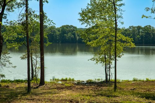 Bomar-Rec-Lots-44 (1)