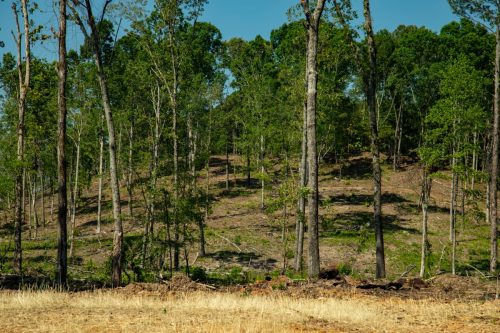 Bomar-Rec-Lots-46 (1)