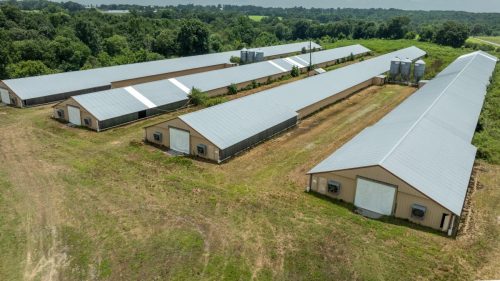 Brown-Rd-Farm-10