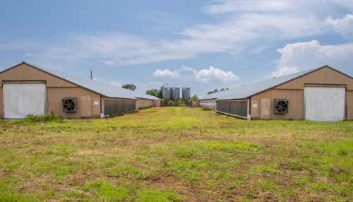Brown-Rd-Farm-12-2