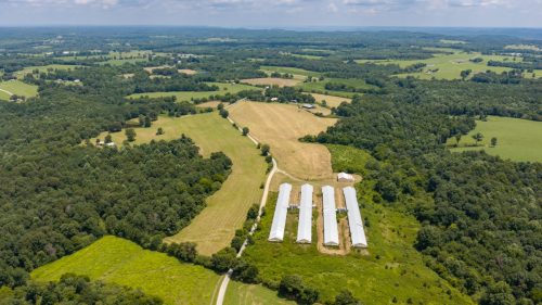 Brown-Rd-Farm-16-3