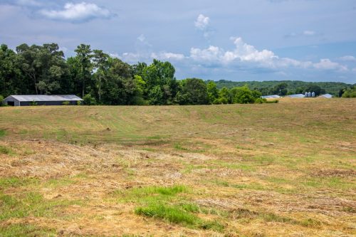 Brown-Rd-Farm-25