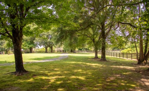 Brown-Rd-Farm-31
