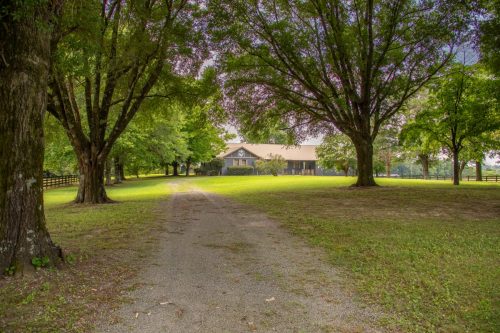 Brown-Rd-Farm-39