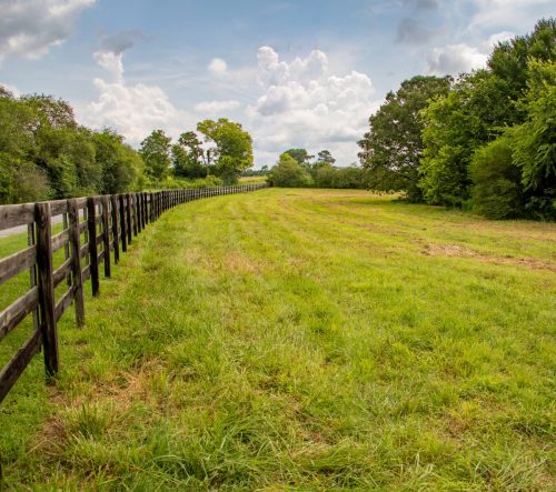 Brown-Rd-Farm-40