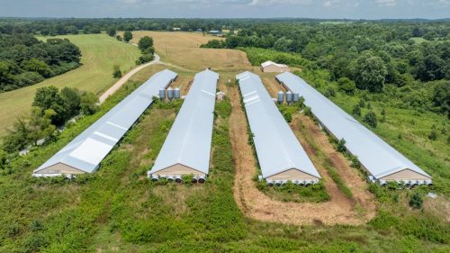 Brown-Rd-Farm-6