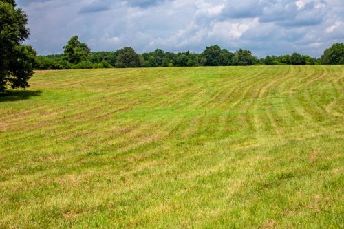 Brown-Rd-Farm-9-2