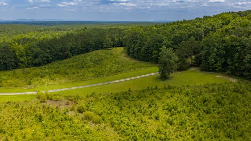 CR29-35