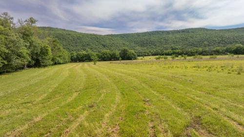 DJI 0036-Enhanced-NR