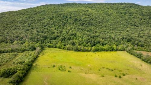 DJI 0044