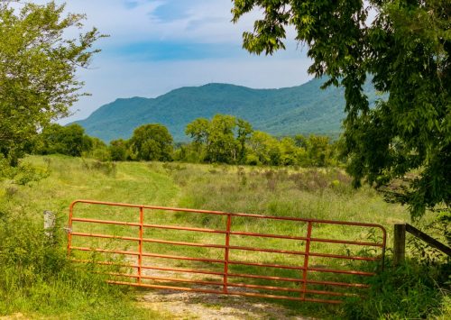 Etowah-TN-14