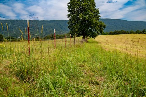 Etowah-TN-15