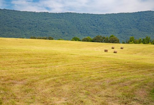 Etowah-TN-17