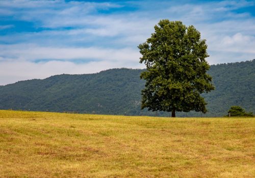 Etowah-TN-18