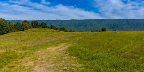 Etowah-TN-3