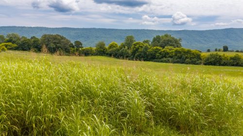 Etowah-TN-30