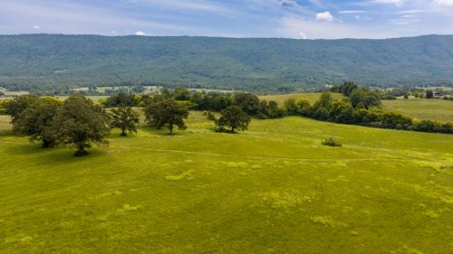 Etowah-TN-36