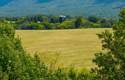 Etowah-TN-37