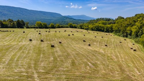 Etowah-TN-50