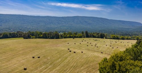 Etowah-TN-51