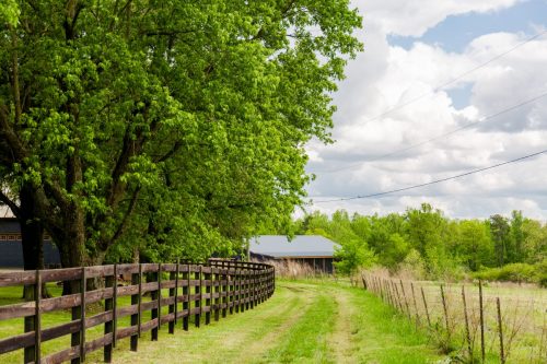 HalliganEstate-9
