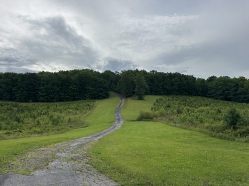 IMG 4562