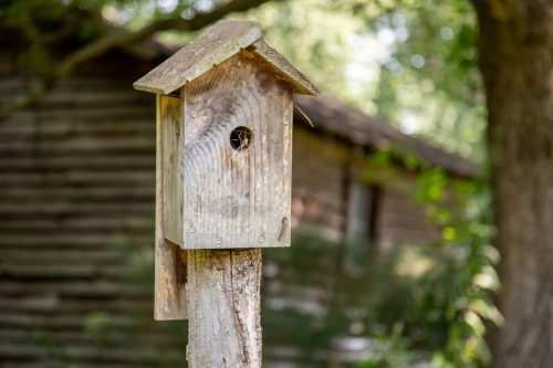 Ider-AL-House-32