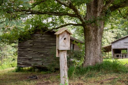 Ider-AL-House-33