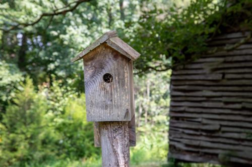 Ider-AL-House-34