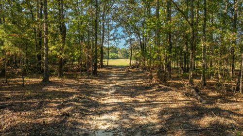 Livingston-Day-One-01