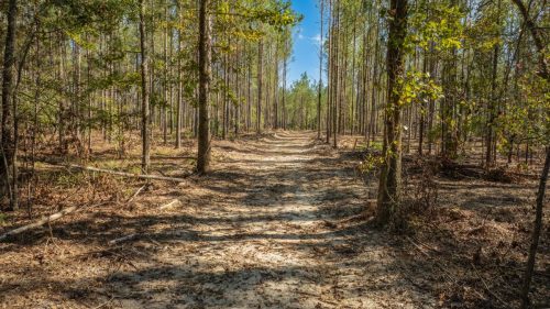 Livingston-Day-One-02