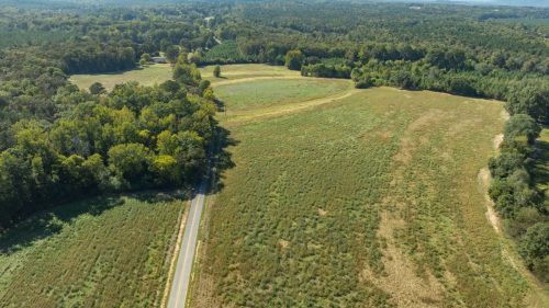 Livingston-Day-One-03