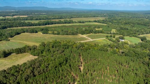 Livingston-Day-One-06