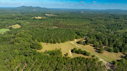 Livingston-Day-One-07