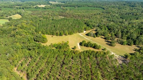 Livingston-Day-One-08