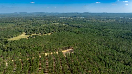 Livingston-Day-One-09