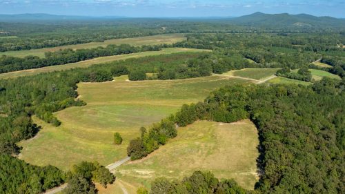 Livingston-Day-One-10