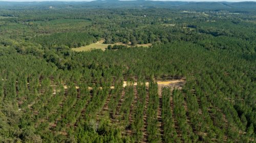 Livingston-Day-One-11