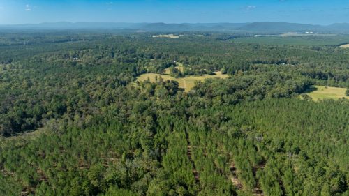 Livingston-Day-One-12