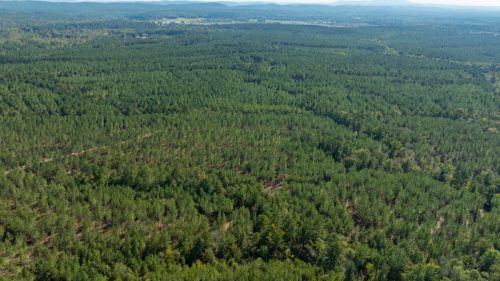 Livingston-Day-One-13